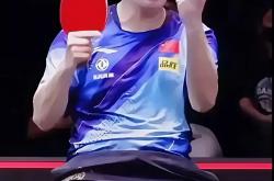 开云APP-中国队翻盘葡萄牙队，樊振东惊艳四座