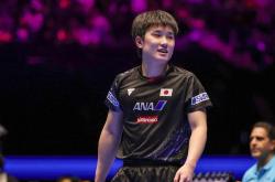 开云体育登录-关于奥地利乒乓球队力克韩国乒乓球队，张本智和绝境逆转的信息