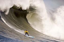 开云体育在线-跨界主宰，当深圳末节带走灰熊，哈登在意甲接管比赛
