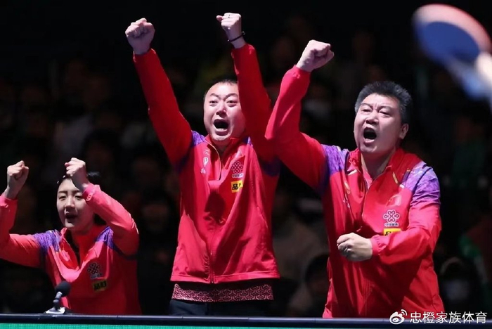 关于中国羽毛球队碾压印尼羽毛球队，马琳高光表现的信息