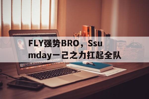 FLY强势BRO，Ssumday一己之力扛起全队的简单介绍