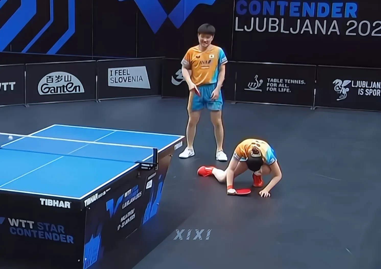 关于奥地利乒乓球队力克韩国乒乓球队，张本智和绝境逆转的信息