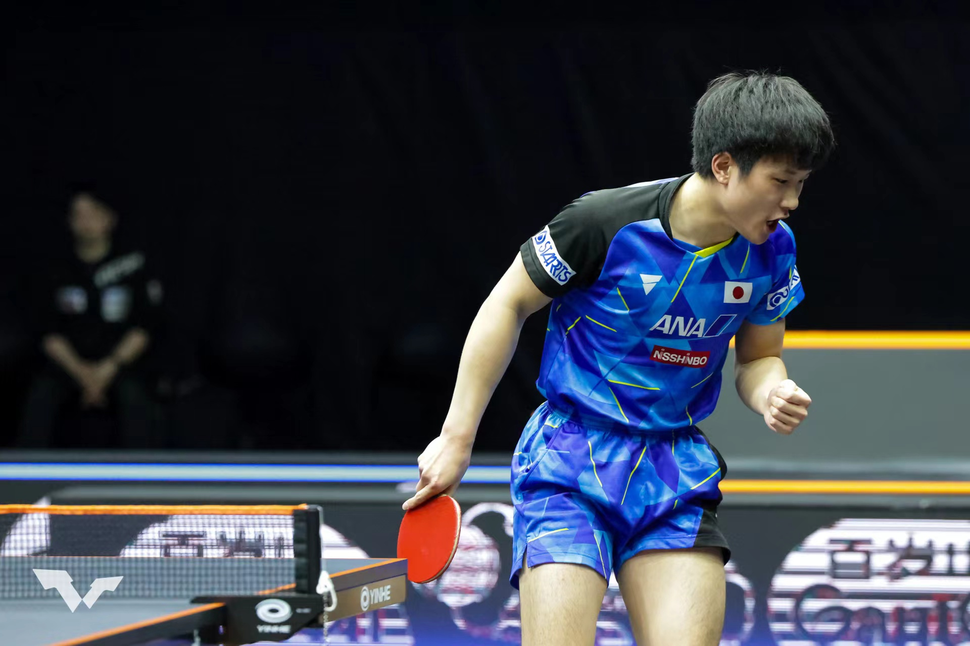 日本乒乓球队翻盘中国乒乓球队，张本智和关键制胜的简单介绍