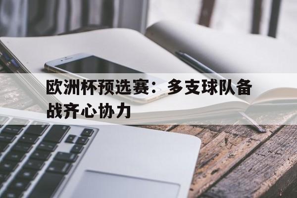 关于欧洲杯预选赛：多支球队备战齐心协力的信息