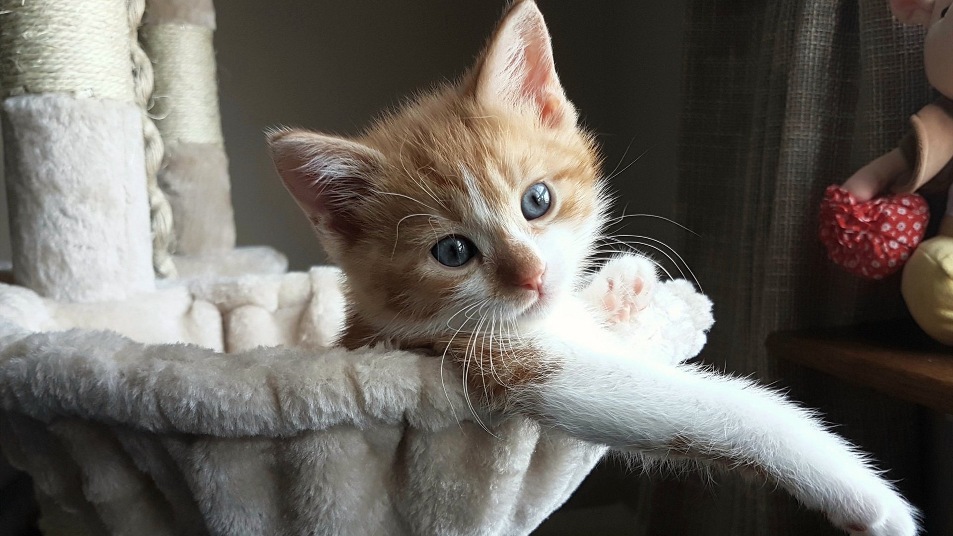 马刺强势拿下勇士，马克西关键制胜，新星闪耀，传统豪门的智慧与勇气